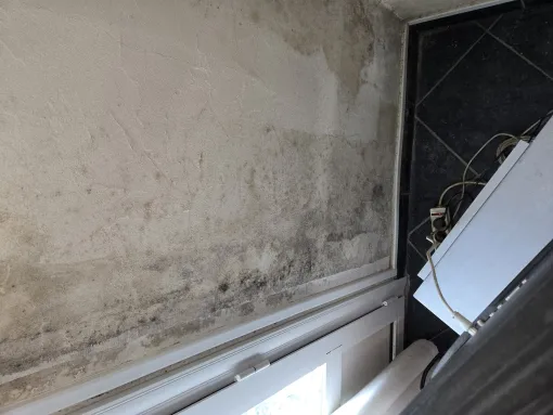 On vous explique le danger réel de l'humidité dans une maison pour vous et votre habitation, Maen Roch, Progrès Rénovation