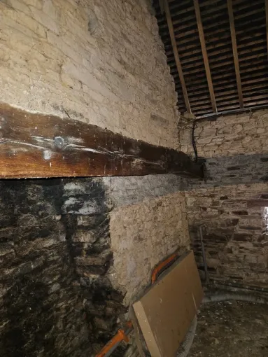 Traitement de charpente à Val-Couesnon, pourquoi cela est-il important?, Maen Roch, Progrès Rénovation