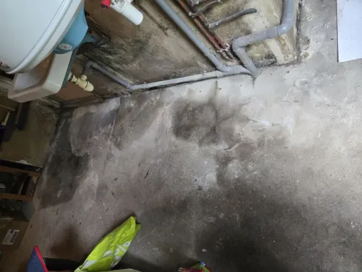 Pourquoi le traitement d'humidité est important, surtout après les inondations?, Maen Roch, Progrès Rénovation