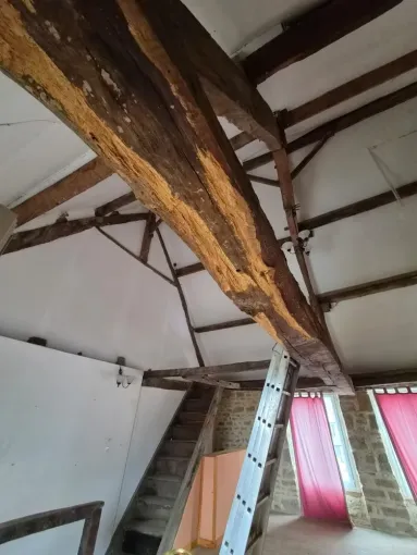 Traitement de charpente dans la Manche : pourquoi cela est-il important ?, Maen Roch, Progrès Rénovation