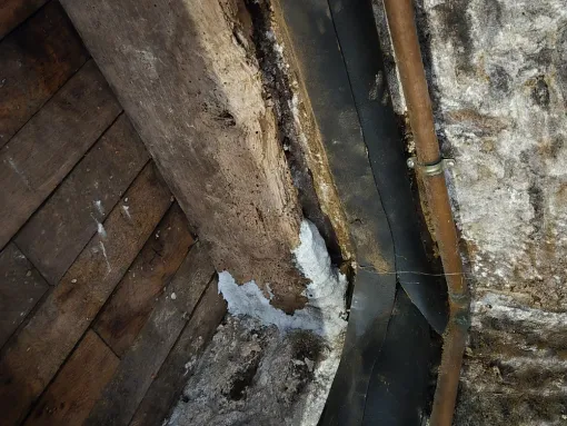 Traitement d'une charpente et renforcement à la résine époxy, Maen Roch, Progrès Rénovation