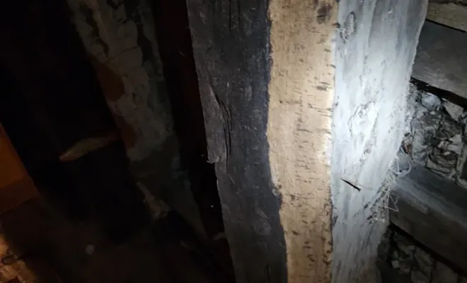 Traitement de charpente à Val-Couesnon, pourquoi cela est-il important?, Maen Roch, Progrès Rénovation