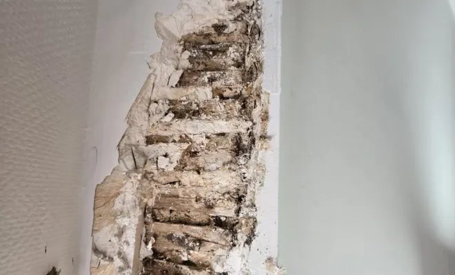 Pourquoi tous ces travaux sont indispensables pour avoir une maison saine ?, Maen Roch, Progrès Rénovation