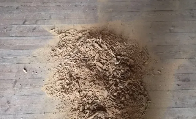 Traitement de charpente dans la Manche : pourquoi cela est-il important ?, Maen Roch, Progrès Rénovation